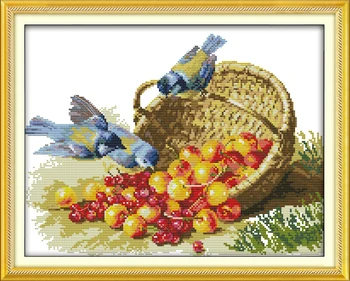 Sevinç Pazar Önceden basılmış Çapraz Dikiş Kiti Kolay Desen Aida Damgalı Kumaş nakış Seti-Kuş ve Meyve