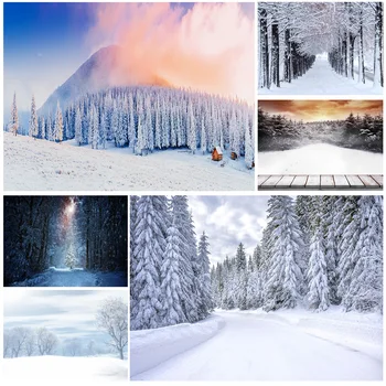 Kış Doğal Manzara Fotoğrafçılığı Arka Plan Orman Kar Manzara Seyahat Fotoğraf Arka Planında Stüdyo Sahne 21101 XJS-02