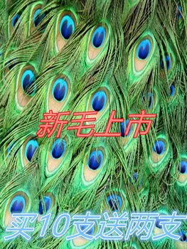 Saf Tavuskuşu Tüyü 25-110 cm Tüy Kuyruk Büyük Gözler Dıy Dekoratif Vazo Dekorasyon Tavuskuşu Saç