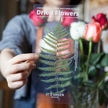 6 adet Çiçekler Haftasonu Fern PET Çıkartmalar Scrapbooking Günlüğü Deco Albümü Dekoratif DIY Kırtasiye Çıkartmalar