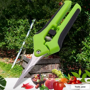 Çok fonksiyonlu Bahçe Budama Makası Meyve toplama makası Trim Ot Ev Saksı Dalları Küçük Makas Bahçe aletleri