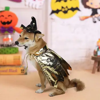 Pelerin Evcil Hayvanlar için Şık Pet Cadı Pelerin şapka seti Cadılar Bayramı Partisi Dekorasyon için Şenlikli Kostüm Kediler Köpekler için Kötü Pet Kostüm