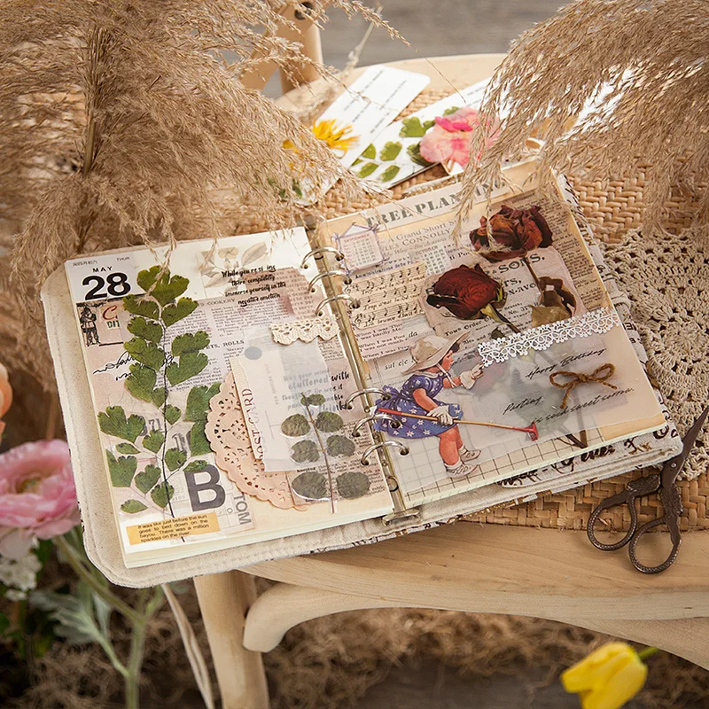 6 adet Çiçekler Haftasonu Fern PET Çıkartmalar Scrapbooking Günlüğü Deco Albümü Dekoratif DIY Kırtasiye Çıkartmalar . ' - ' . 3