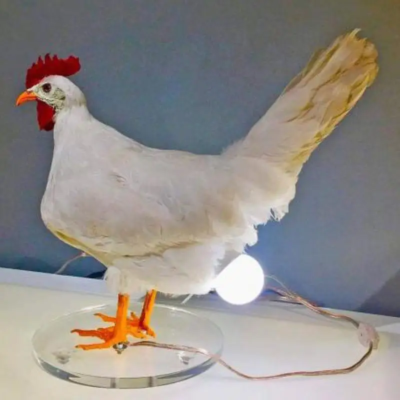 Tavuk Yumurta Masa Lambası Reçine Horoz Masa Lambası Tavuk Lambası Yumurta Ampul 3D Sevimli Çocuk Gece Lambası Yatak Odası Oturma İçin . ' - ' . 4